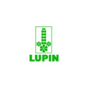 Lupin